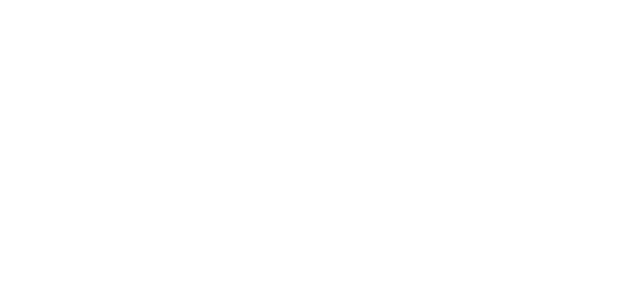 Bless Co US